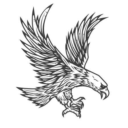 Illustration of flying eagle isolated on white background. Vector illustration.のイラスト素材
