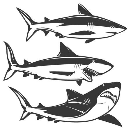 Set of shark icons isolated on white background. Design element , label, emblem, sign, brand mark. Vector illustration.のイラスト素材