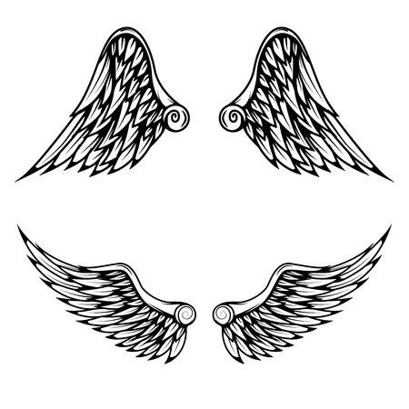 Vintage wings isolated on white background. Design elements , label, emblem, sign, brand mark. Vector illustration.のイラスト素材