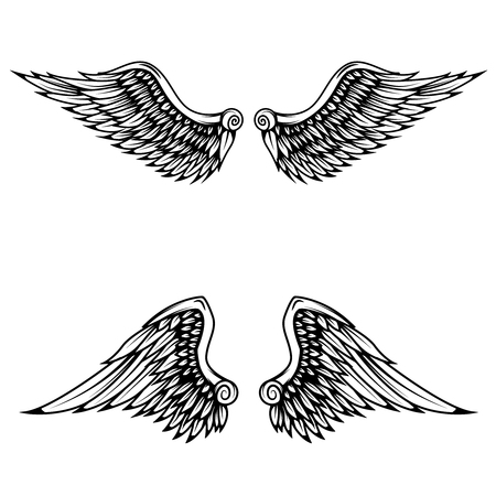 Vintage wings isolated on white background. Design elements , label, emblem, sign, brand mark. Vector illustration.のイラスト素材
