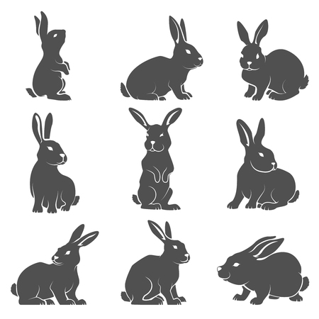 Set of rabbit icons isolated on white background. Vector illustration.のイラスト素材