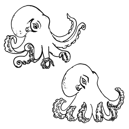 Set of hand drawn octopus isolated on white background. Vector illustration.のイラスト素材