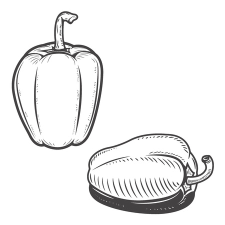 Set of bell  pepper icons isolated on background. Design elements for menu, poster, emblem, sign. Vector illustration.のイラスト素材