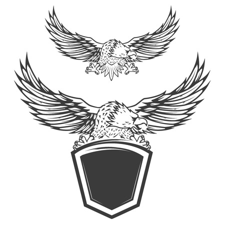 Eagle on shield isolated on white background. Design element for emblem, badge. Vector illustration.のイラスト素材