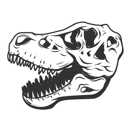 T-rex dinosaur skull isolated on white background. Images for logo, label, emblem.のイラスト素材