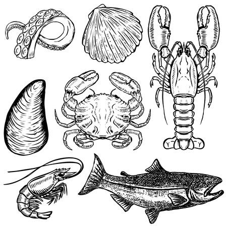 Set of hand drawn seafood illustrations. Design elements for poster, menu. Oyster, crab, shrimp, salmon, lobster. Vector illustrationのイラスト素材