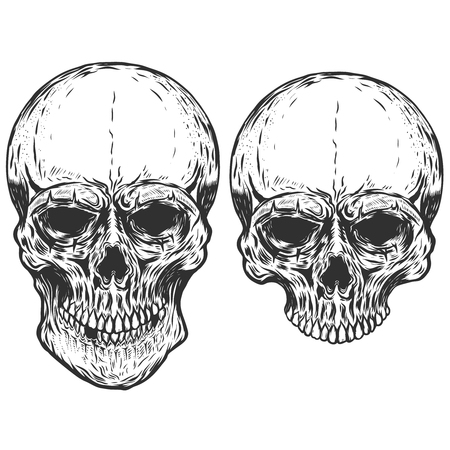 Set of human skulls isolated on white background. Vector design elementsのイラスト素材