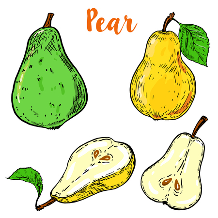 Set of colorful pear illustrations isolated on white background. Vector illustrationのイラスト素材