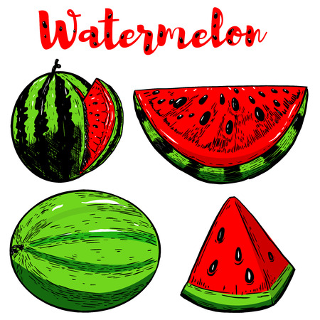 Watermelon illustrations isolated on white background. Vector illustrationのイラスト素材