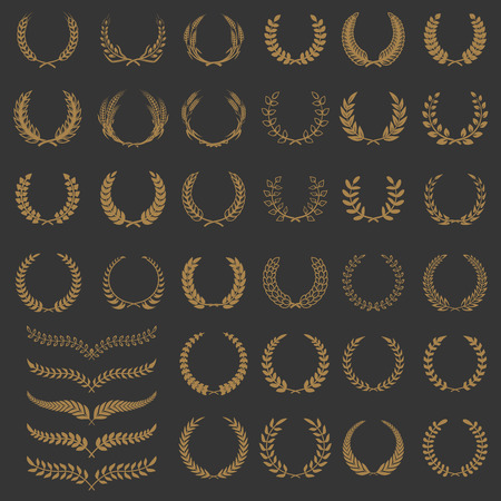 Set of vector wreaths and branches. Design elements for logo, label, emblem, badge, sign. Vector illustration.のイラスト素材