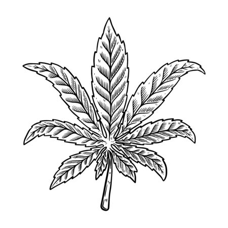 Illustration of cannabis leaf isolated on white background. Design element for poster, banner, t shirt, emblem. Vector illustrationのイラスト素材