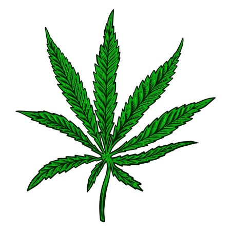 Illustration of cannabis leaf isolated on white background. Design element for poster, banner, t shirt, emblem. Vector illustrationのイラスト素材