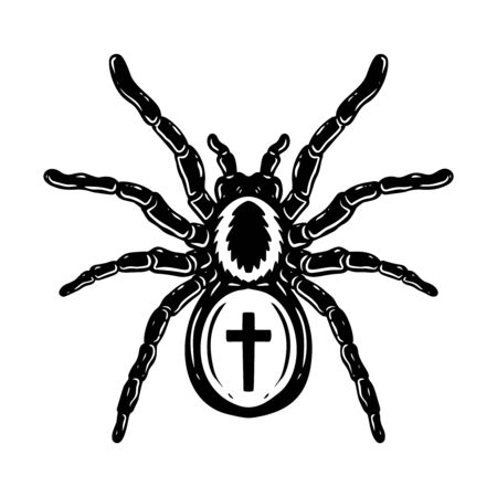 Spider illustration in engraving style. Halloween theme. Design element for poster, card, banner, emblem, sign. Vector illustrationのイラスト素材