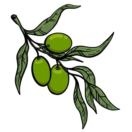 Illustration of olive tree branch with olives. Design element for poster, card, banner, sign, emblem. Vector illustrationのイラスト素材
