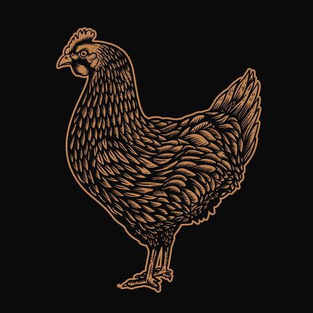 Illustration of chicken in engraving style.のイラスト素材