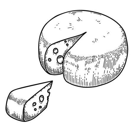 Illustration of cheese in engraving style. Design element for  label, emblem, sign, badge. Vector illustrationのイラスト素材