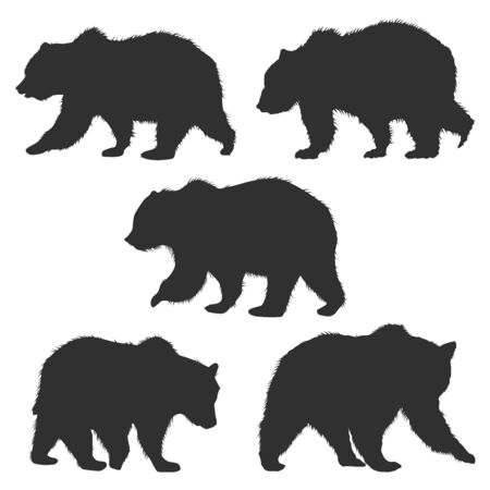 Set of wild grizzly bear silhouettes isolated on white background. Design element for poster, card, banner, emblem, sign. Vector illustrationのイラスト素材