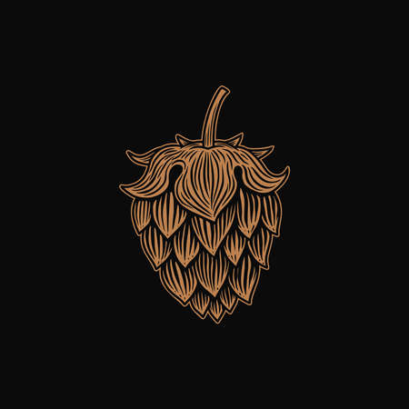 illustration of beer hop in engraving style. Design element for poster, label, sign, emblem, menu. Vector illustrationのイラスト素材