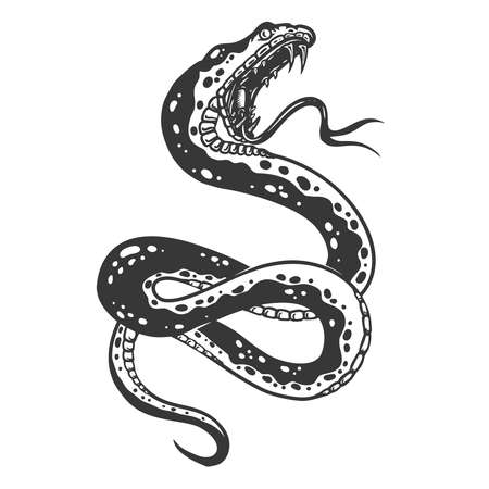 Illustration of poisonous snake in engraving style. Design element for logo, label, emblem, sign, badge. Vector illustrationのイラスト素材