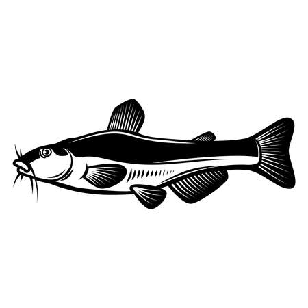 Illustration of catfish in engraving style. Design element for logo, label, sign, poster, t shirt. Vector illustrationのイラスト素材