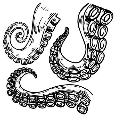 Set of octopus, squid tentacles in engraving style. Design element for logo, label, emblem, sign, badge. Vector illustrationのイラスト素材