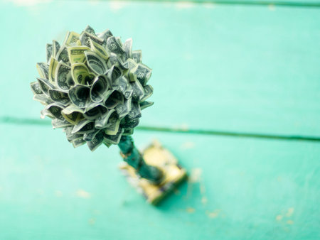 Chinese money tree on wooden background