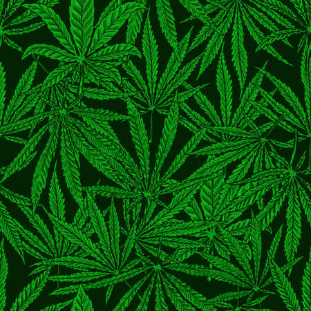Seamless pattern with cannabis leaves. For poster, card, banner, flyer. Vector illustrationのイラスト素材