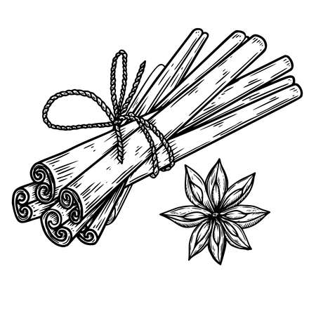 Illustration of cinnamon in engraving style. Design element for emblem, sign, poster, card, banner, flyer. Vector illustrationのイラスト素材