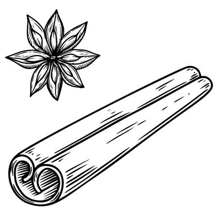 Illustration of cinnamon in engraving style. Design element for emblem, sign, poster, card, banner, flyer. Vector illustrationのイラスト素材