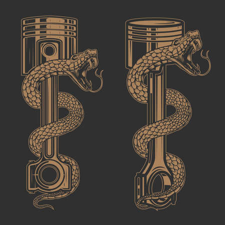 Illustrations of snake on car piston. Design element for poster, card, banner, sign. Vector illustrationのイラスト素材