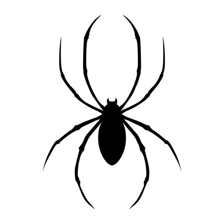 illustration of spider. Design element for  label, sign, emblem, poster. vector illustrationのイラスト素材