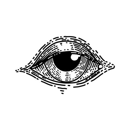 illustration of human eye in engraving style. Design element for poster, card, banner, emblem, sign. vector illustrationのイラスト素材