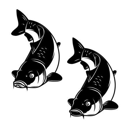 Illustration of carp fish in monochrome style. Carp fish isolated on white backgroundのイラスト素材