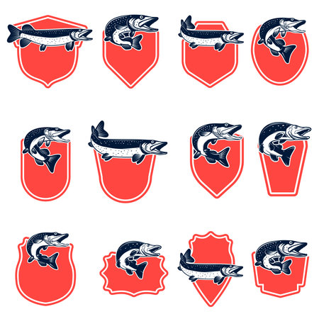 Set of fishing emblems with pike fish Design element for emblem, sign, badge. Vector illustrationのイラスト素材