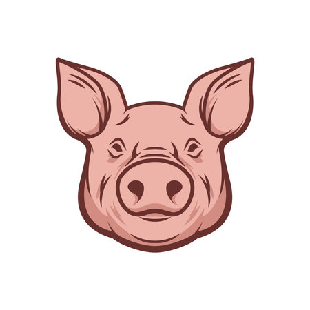 Illustration of a pig head isolated on white background. Pork meat. Design element for poster, menu ,card.のイラスト素材