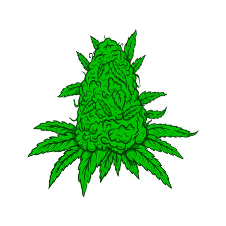 Illustration of cannabis leaves and buds. Design element for poster, card, banner, sign. Vector illustrationのイラスト素材