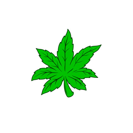 illustrations of cannabis leave. Design element for poster, card, banner, sign. Vector illustrationのイラスト素材