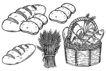 Set of hand drawn bread design elements. Bakery Vector illustrationのイラスト素材
