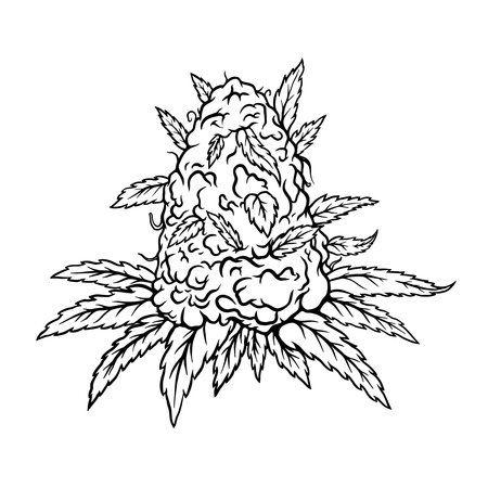 Illustration of cannabis leaves and buds. Design element for poster, card, banner, sign. Vector illustrationのイラスト素材