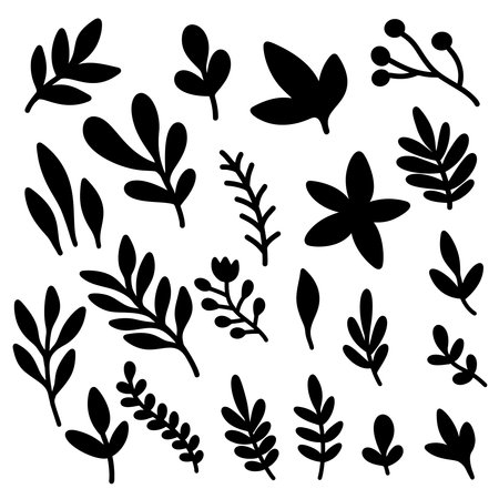 Set of hand drawn leaves, branches, flowers, flourishes. Design element for banner, sign, poster, decoration. Vector illustrationのイラスト素材