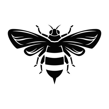 Illustration of honey bee in monochrome style.のイラスト素材