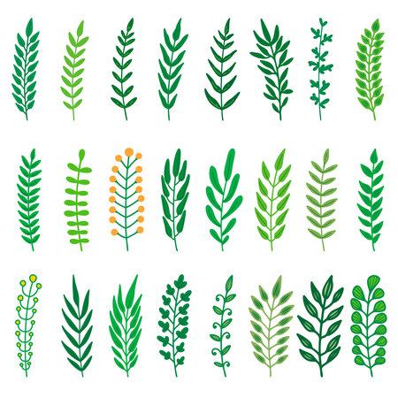 Set of cartoon leaves, branches, flowers, flourishes. Design element for banner, sign, poster, decoration. Vector illustrationのイラスト素材