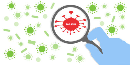 20A.EU1 mutation of COVID-19. Coronavirus novel mutation vector illustration. New virus mutation detected.のイラスト素材