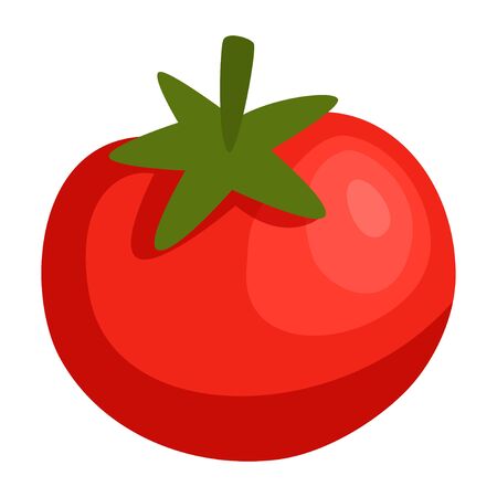 Red Tomato vegetable icon isolated on white background. Vector illustrationのイラスト素材