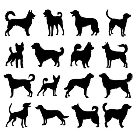 Set of dogs, black silhouettes of dogs breeds isolated on white background. Pets vector illustrationのイラスト素材