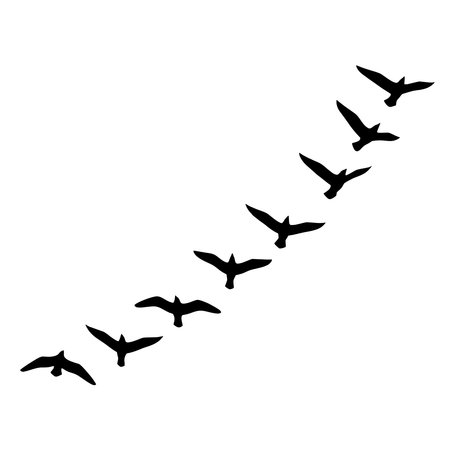 Silhouette of birds in v formation flying in clear skyのイラスト素材