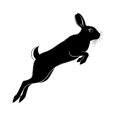 Silhouette of a jumping rabbit on a white background.のイラスト素材