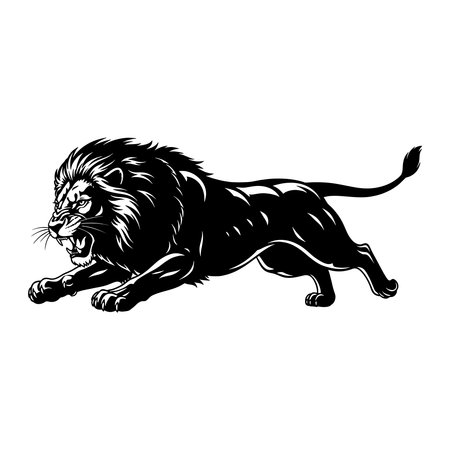 Dynamic illustration of a powerful black lion leaping forward.のイラスト素材