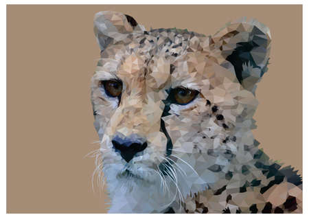 Cheetah geometric low poly vector artのイラスト素材