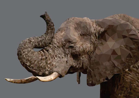 Trunk up Elephant geometric low poly vector artのイラスト素材